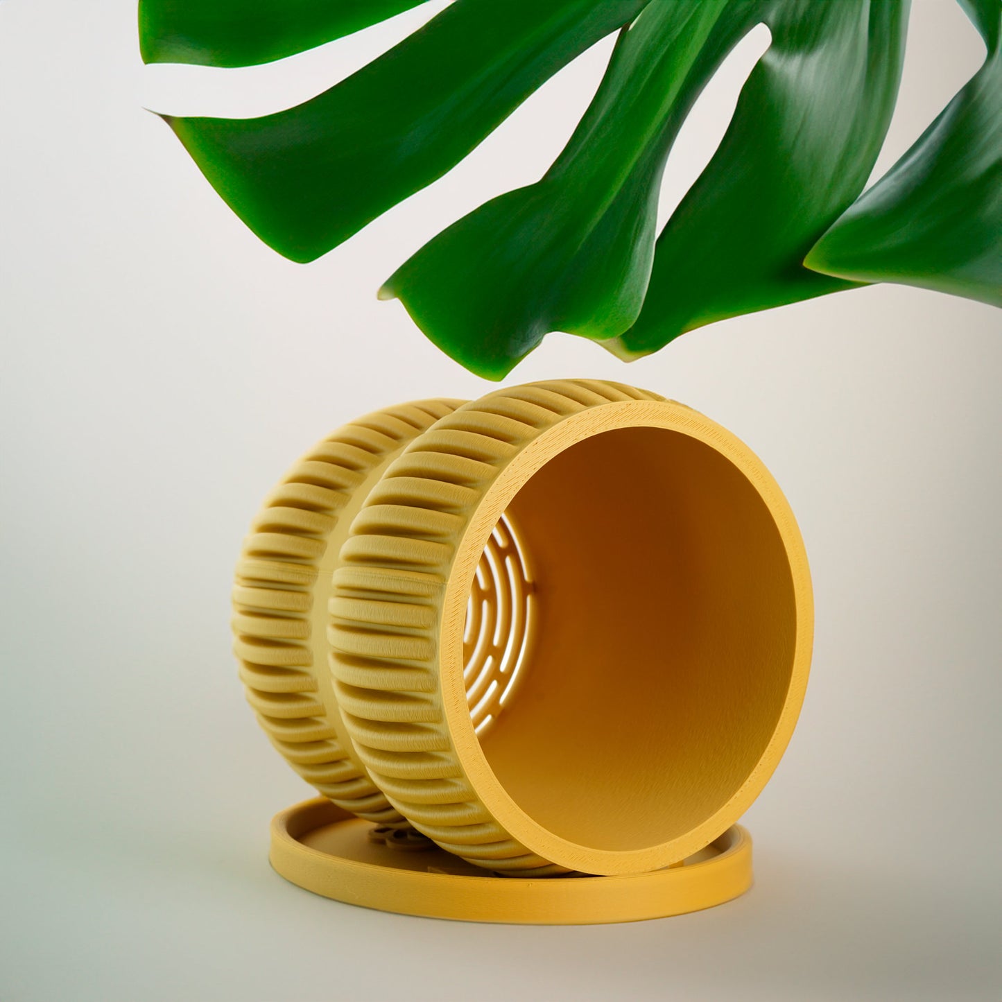 Cute Plant Pot Unique, Pots with Drainage and Saucer, Bonsai, Orchid, Cacti Modern Planter, Lightweight Bookshelf Decor, Plant Gift Cute