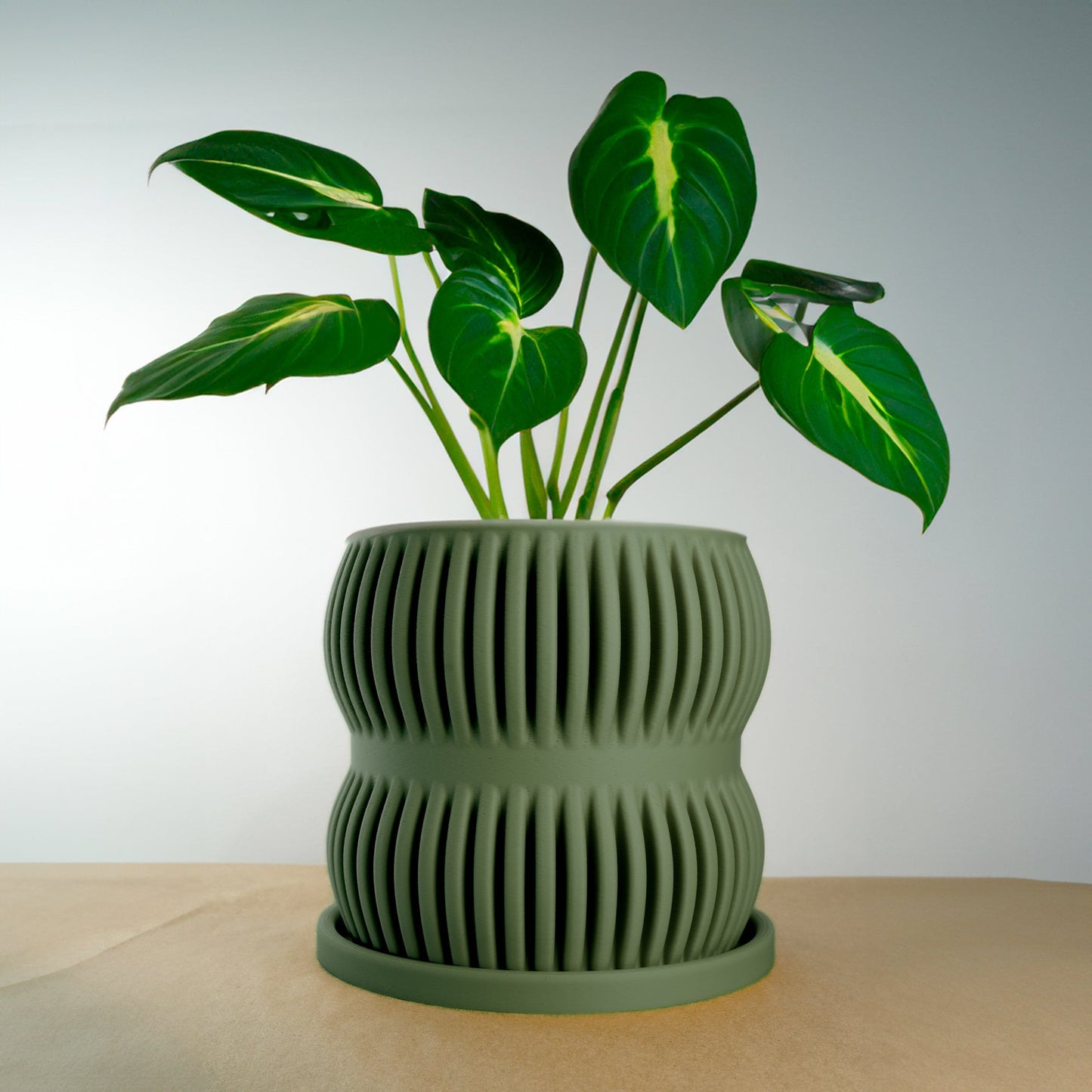 Cute Plant Pot Unique, Pots with Drainage and Saucer, Bonsai, Orchid, Cacti Modern Planter, Lightweight Bookshelf Decor, Plant Gift Cute