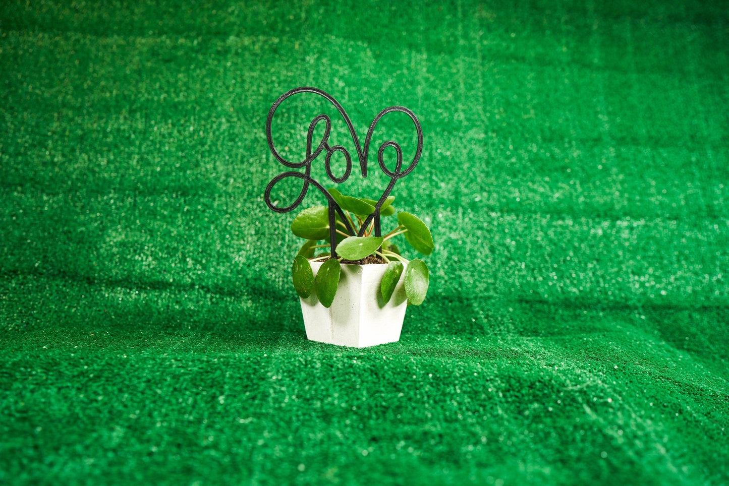 Love Trellis - Rosebud HomeGoods Black MODERN HOME GOOD