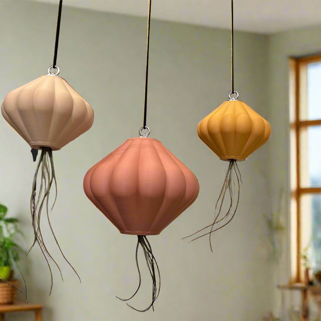 MAGNETIC Air Planter, JellyFish, Air Plant Included - Rosebud HomeGoods Small Rainbow MODERN HOME GOOD
