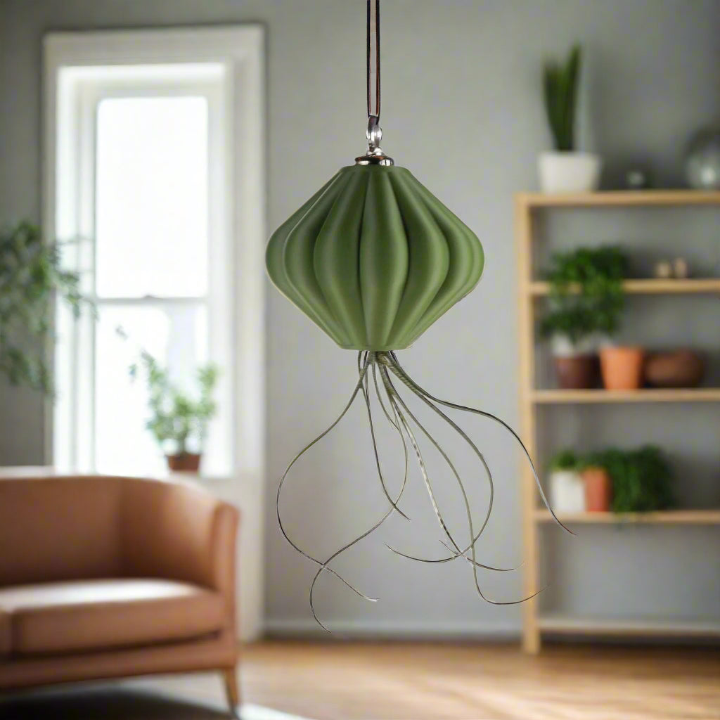 MAGNETIC Air Planter, JellyFish, Air Plant Included - Rosebud HomeGoods Small Green MODERN HOME GOOD