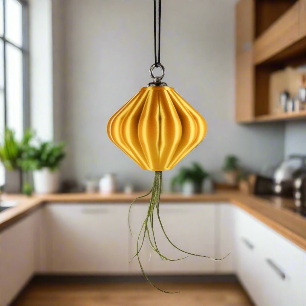 MAGNETIC Air Planter, JellyFish, Air Plant Included - Rosebud HomeGoods Small Gold MODERN HOME GOOD
