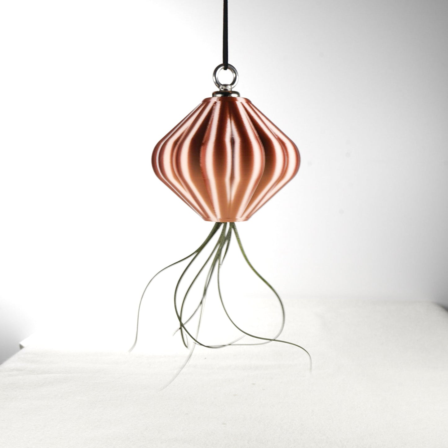 MAGNETIC Air Planter, JellyFish, Air Plant Included - Rosebud HomeGoods Small Copper MODERN HOME GOOD