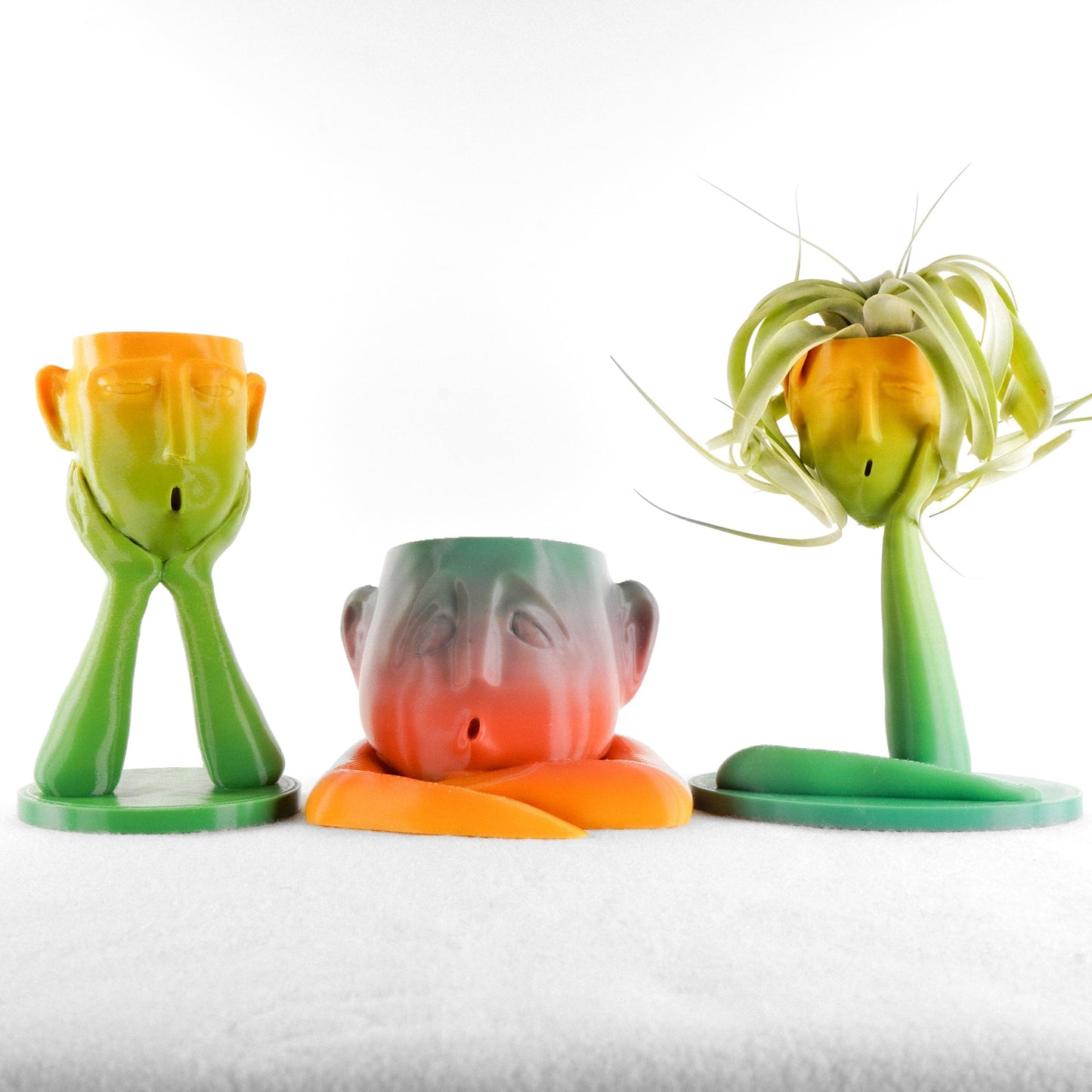 Medusa Air Head Planter - Rosebud HomeGoods Terracotta Without Air Plant MODERN HOME GOOD