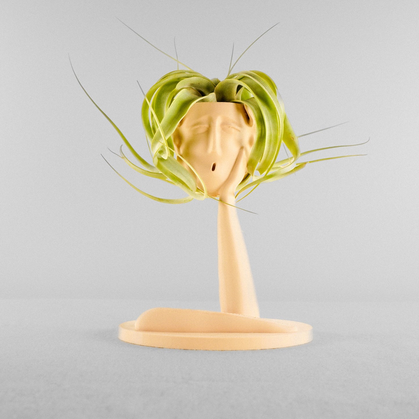 Medusa Air Head Planter - Rosebud HomeGoods Beige With Air Plant MODERN HOME GOOD