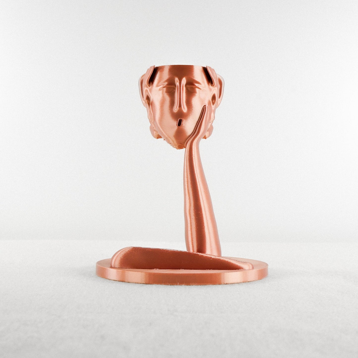 Medusa Air Head Planter - Rosebud HomeGoods Copper Without Air Plant MODERN HOME GOOD