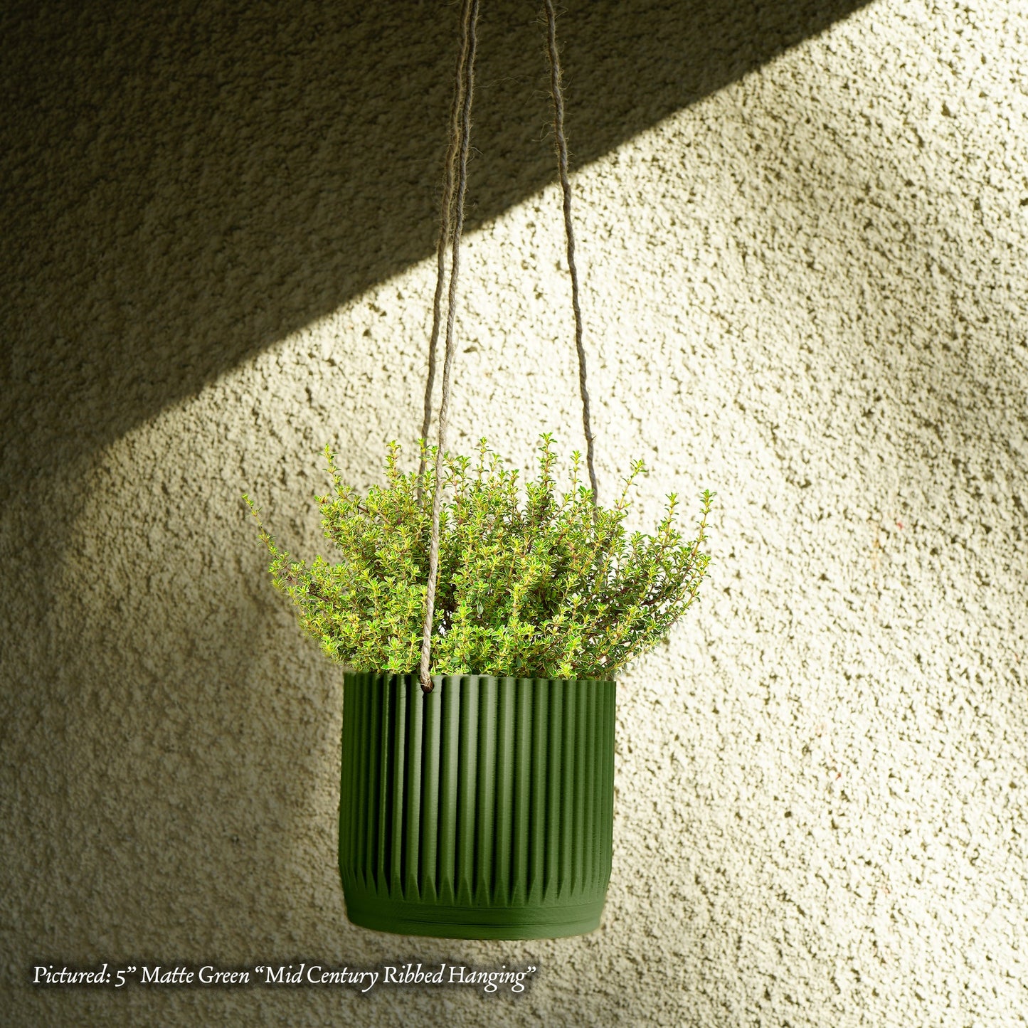 Mid Century Ribbed Hanging Plant Pots - Rosebud HomeGoods Black With Drainage 4” MODERN HOME GOOD