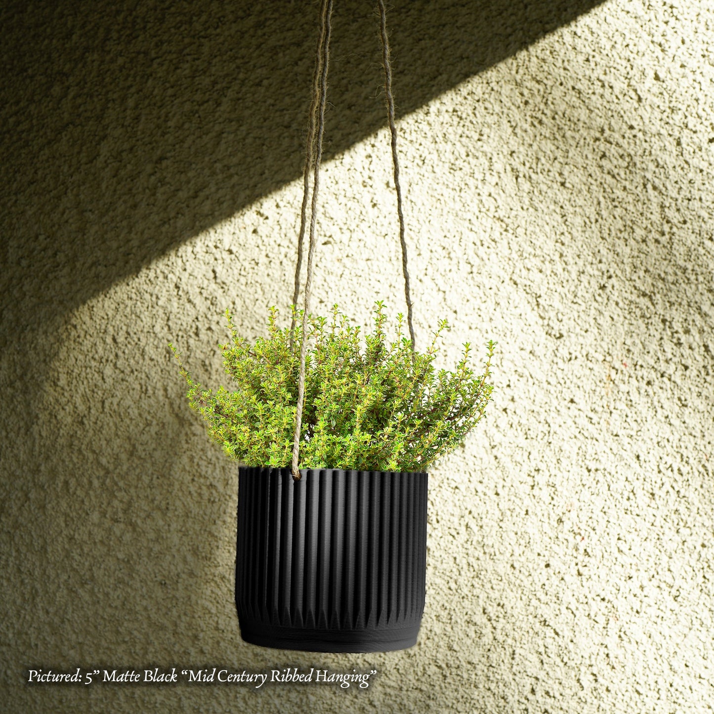 Mid Century Ribbed Hanging Plant Pots - Rosebud HomeGoods Black With Drainage 4” MODERN HOME GOOD