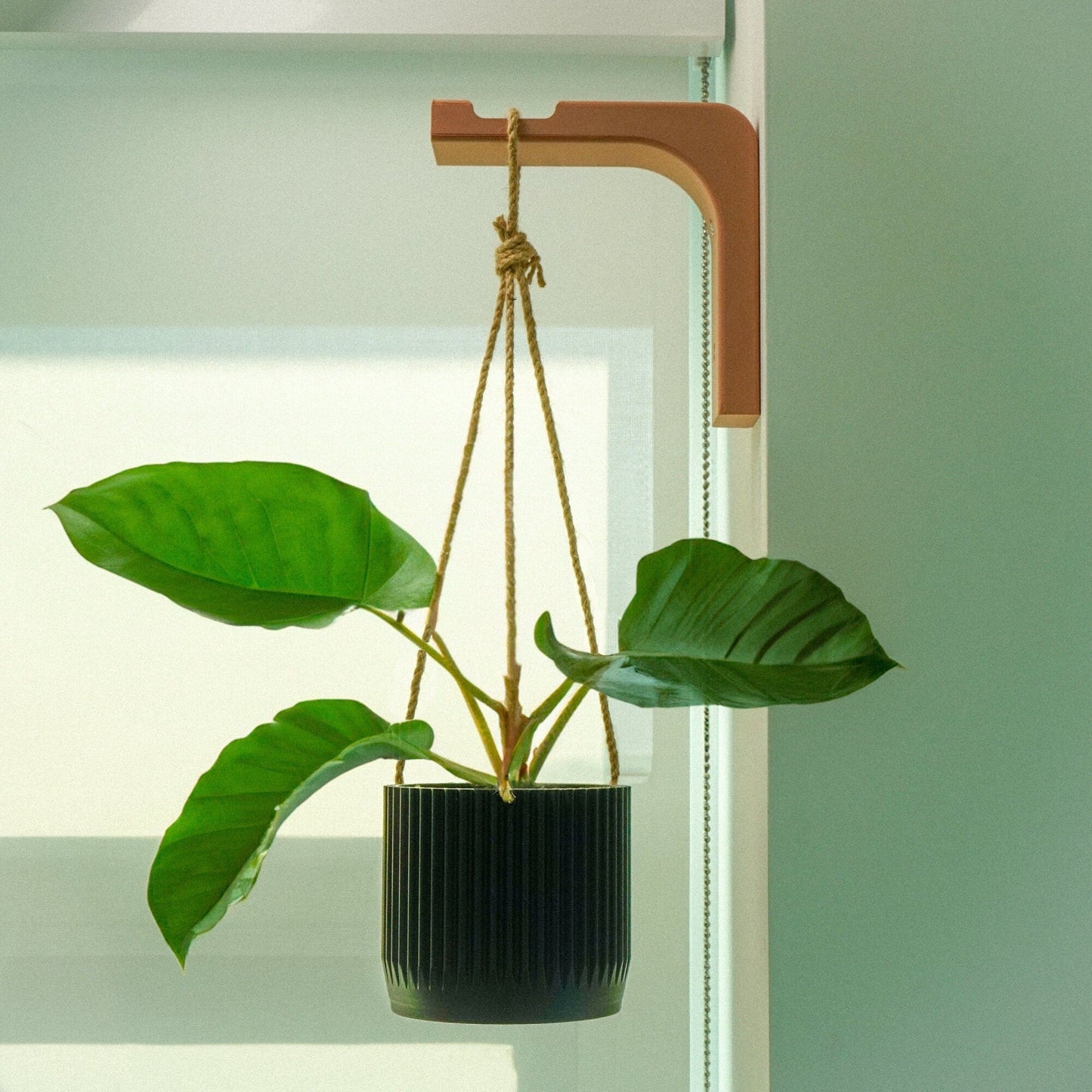 Minimal Modern Hanging Planter Wall Hook, Macrame Plant Hanger Hook, Eco-Friendly Indoor Plant Holder, Boho Plant Wall Cottagecore Decor - Rosebud HomeGoods Terracotta MODERN HOME GOOD
