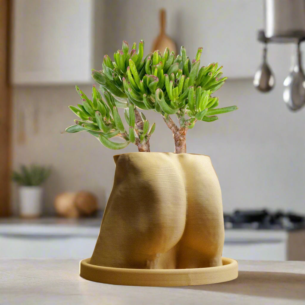 bonsai butt tree Muscle Butt Planter, Funny White Elephant Gifts for Plant Lovers – Rosebud HomeGoods