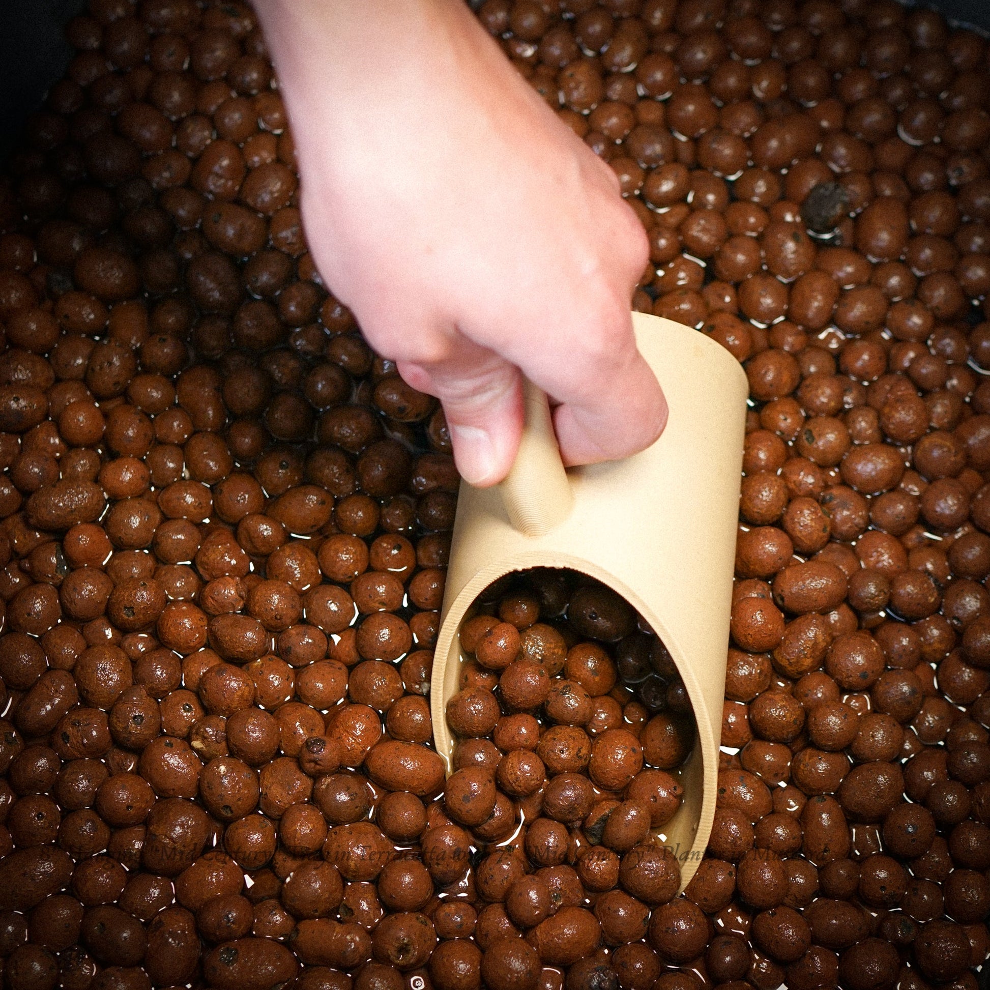 Plant Soil Scoop - Rosebud HomeGoods Black MODERN HOME GOOD