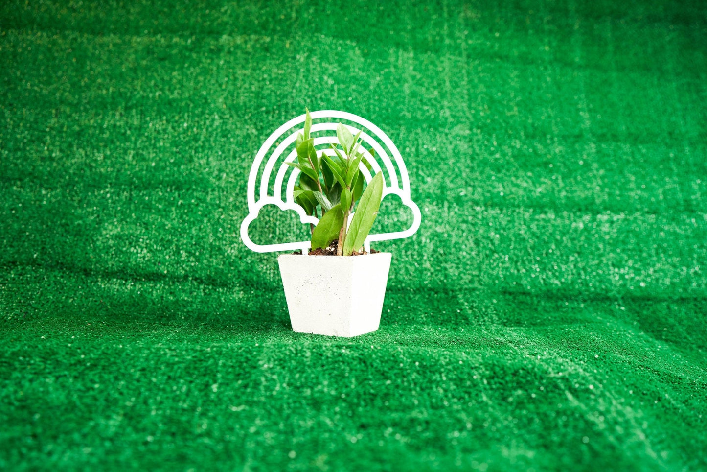 "Rainbow Trellis" - Modern Rainbow Plant Trellis by Planters, featuring 3D-printed eco-friendly materials for excellent drainage, shown supporting a ZZ plant in a minimalist white planter set against a lush green background. This indoor plant support adds a touch of home decor for plant lovers, available in multiple colors.