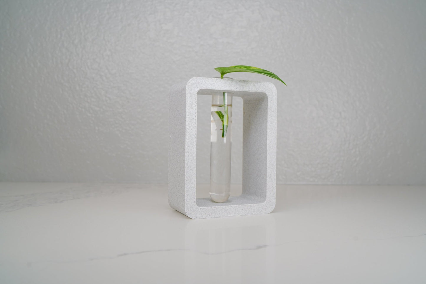Rectangle Propagation Station - Rosebud HomeGoods Green Stand & Tube MODERN HOME GOOD