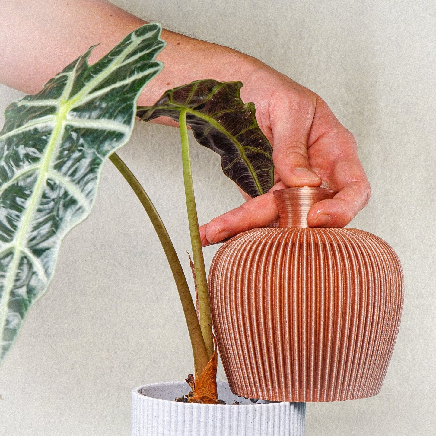 Ribbed Water Bell Thumb Pot - Rosebud HomeGoods NO Drip Tray Black MODERN HOME GOOD