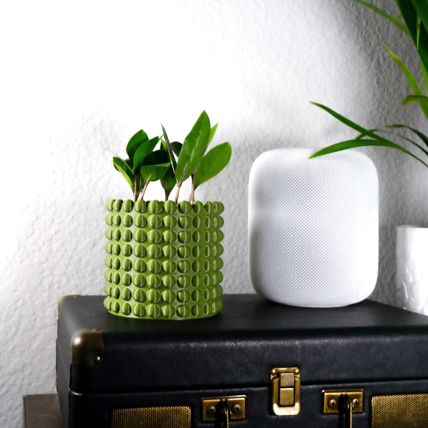 Ring of Pearls Planter - Rosebud HomeGoods 4 Inch Green With Saucer MODERN HOME GOOD