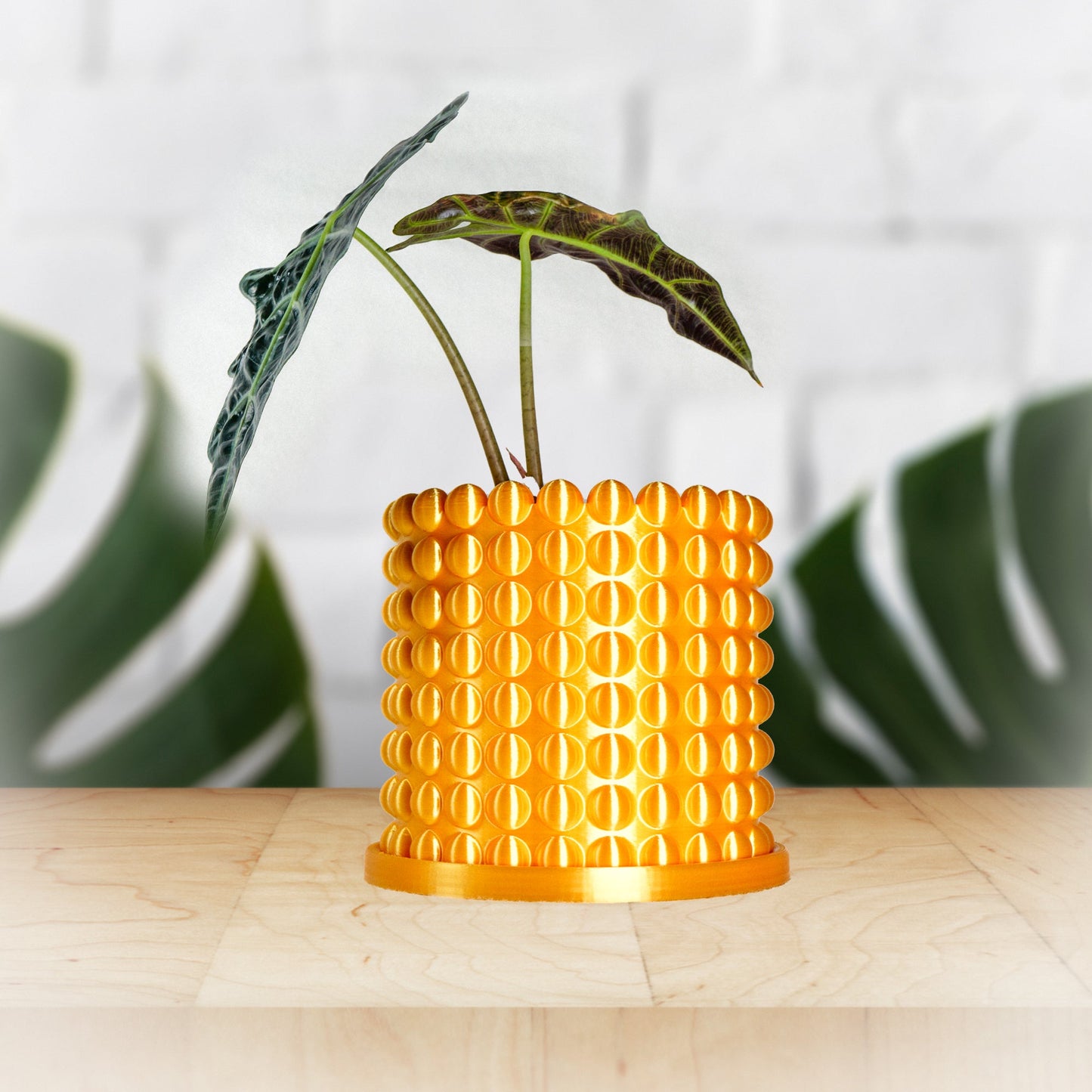 Ring of Pearls Planter - Rosebud HomeGoods 4 Inch Gold With Saucer MODERN HOME GOOD