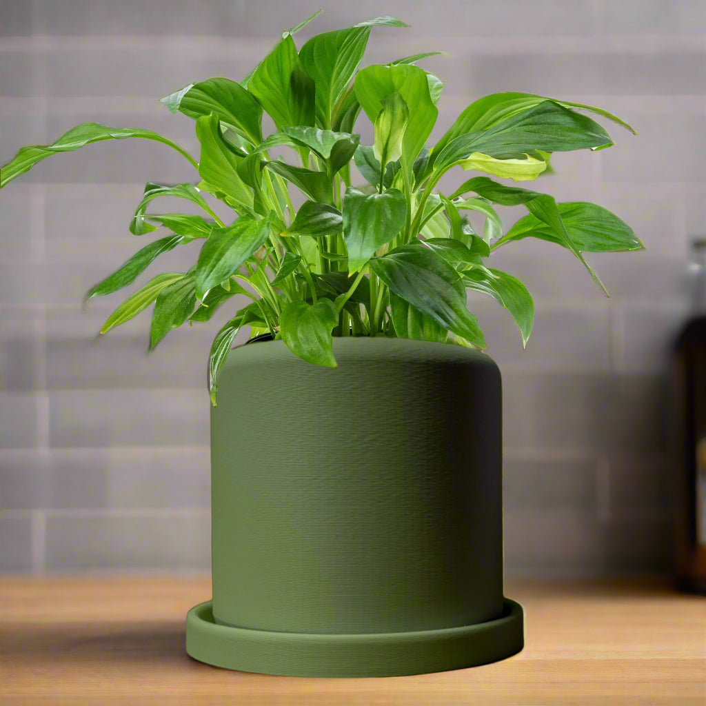 Round Planter - Rosebud HomeGoods 4” No Drip Tray Black MODERN HOME GOOD