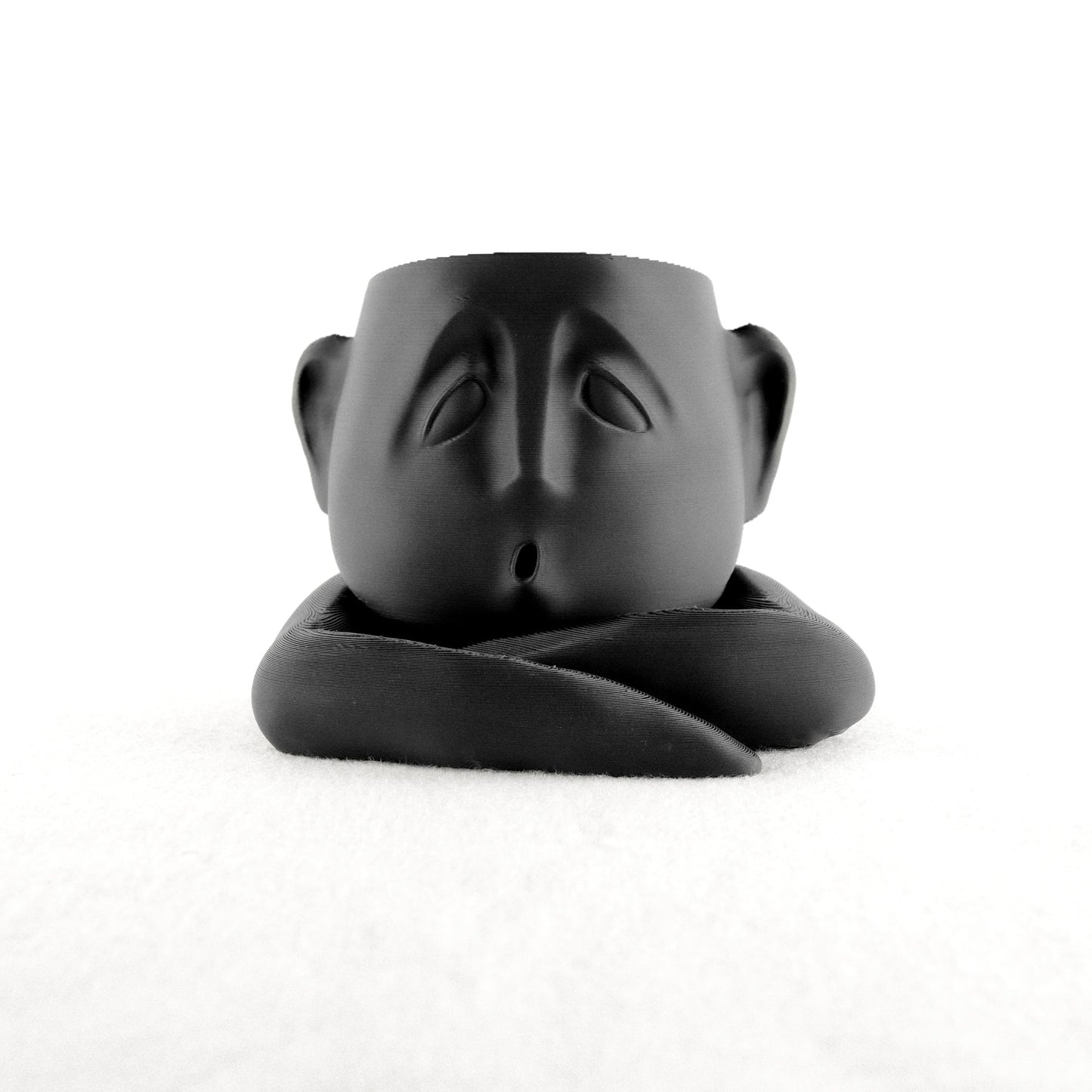 Shady Air Head Planter - Rosebud HomeGoods Black Without Air Plant MODERN HOME GOOD