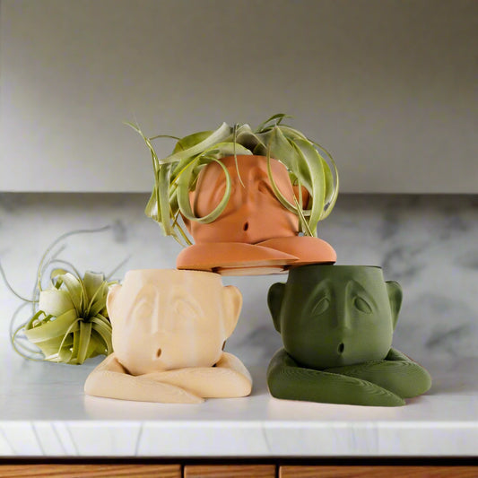 Shady Air Head Planter - Rosebud HomeGoods Black Without Air Plant MODERN HOME GOOD