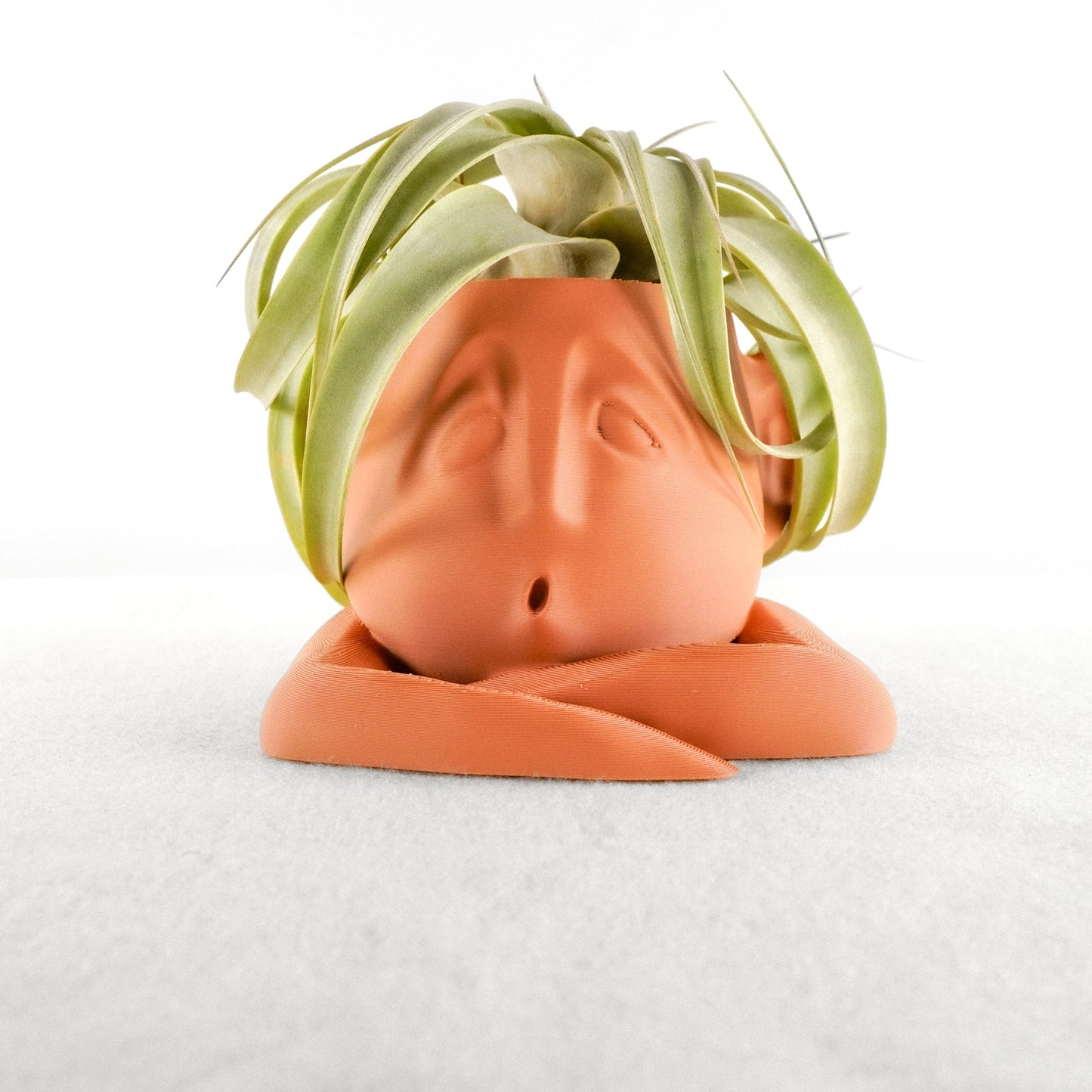 Shady Air Head Planter - Rosebud HomeGoods Terracotta With Air Plant MODERN HOME GOOD