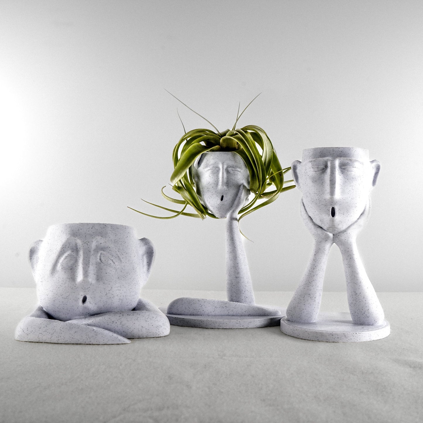 Shady Air Head Planter - Rosebud HomeGoods Marble Without Air Plant MODERN HOME GOOD