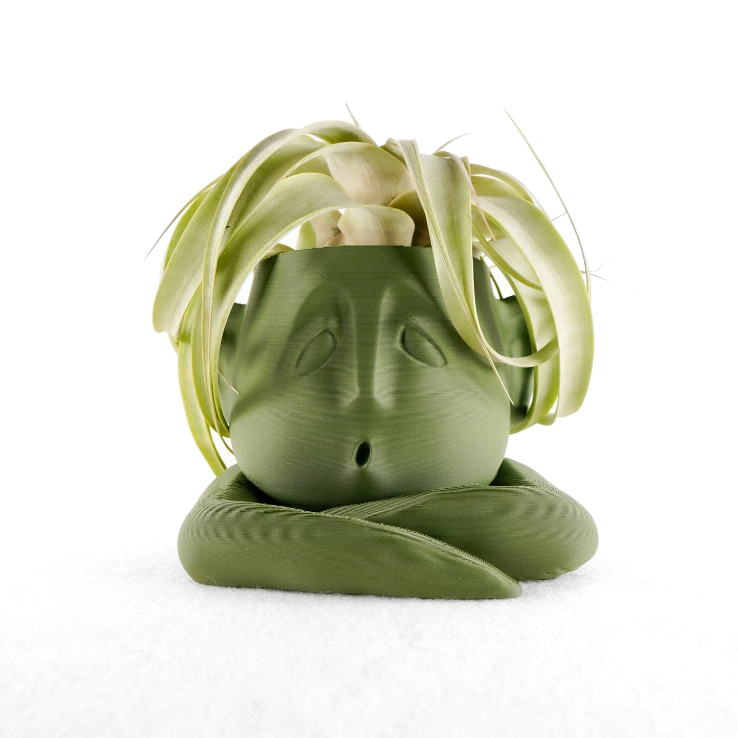 Shady Air Head Planter - Rosebud HomeGoods Green With Air Plant MODERN HOME GOOD