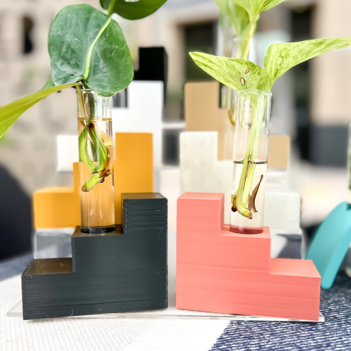 indoor plant station Art Nouveau Propagation Station – Elegant Plant Propagation, Stylish Home Decor, Modern Design, Indoor Gardening, Eco-Friendly, Durable, Multiple