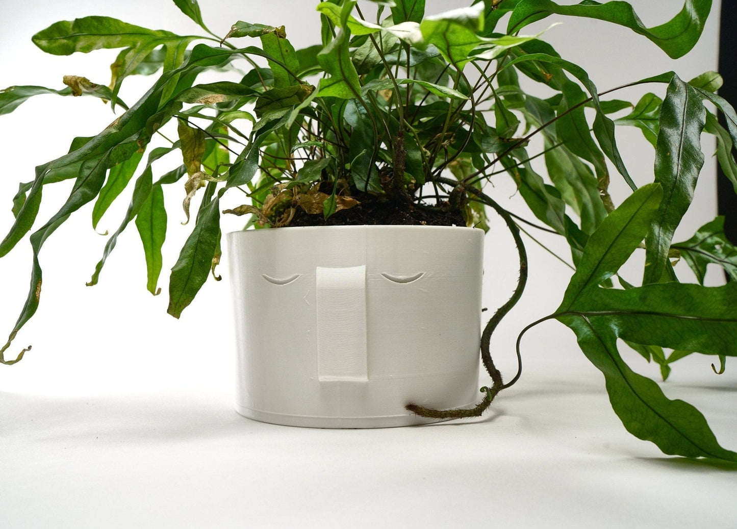 Stonehenge Face Planter - Rosebud HomeGoods 4 Black Without Drip Tray MODERN HOME GOOD
