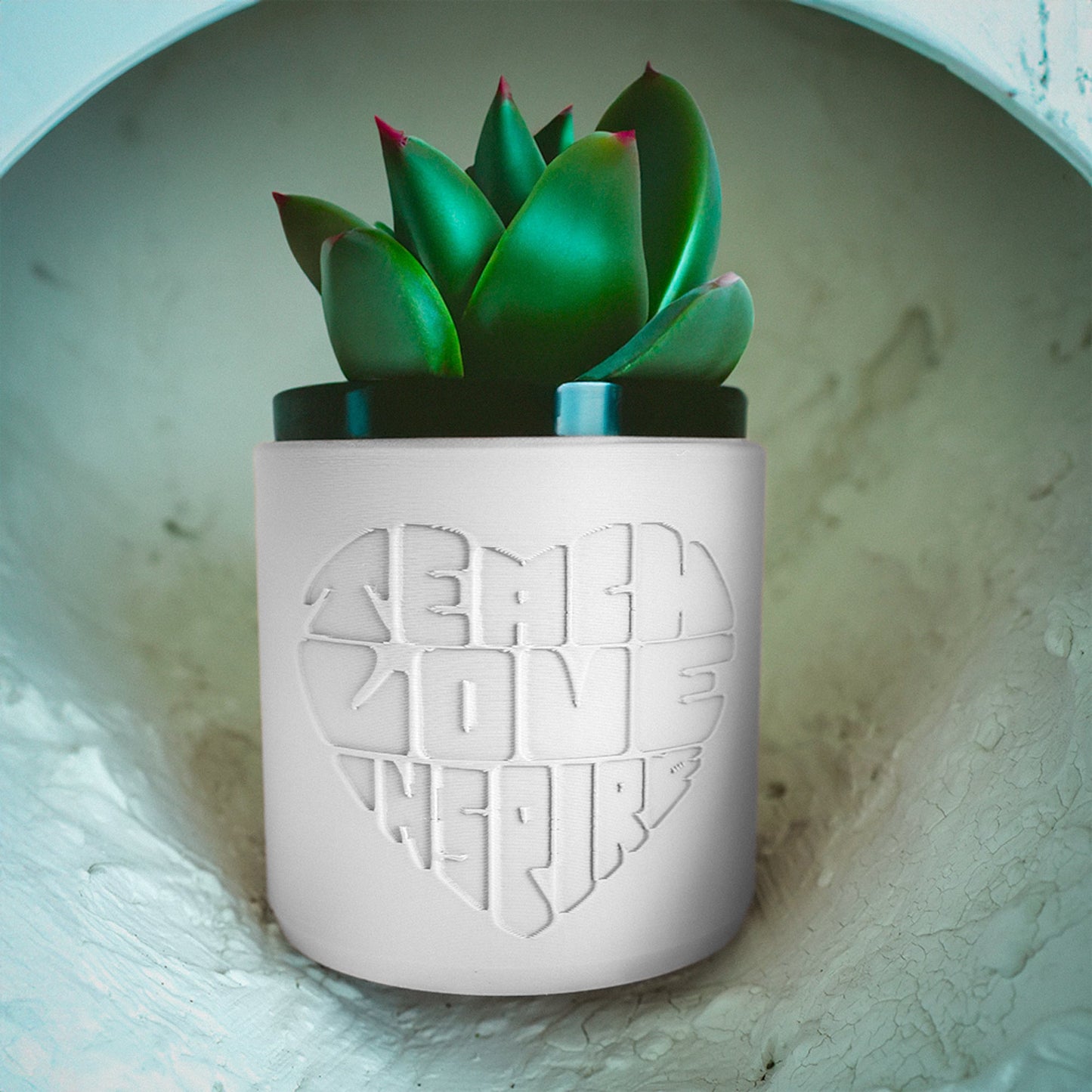 Teacher Appreciation Plant Pots with Drainage and Saucer, Back to School Decor Ideas Plant Planter, Lightweight - Rosebud HomeGoods Black 4 Inch - No Tray MODERN HOME GOOD