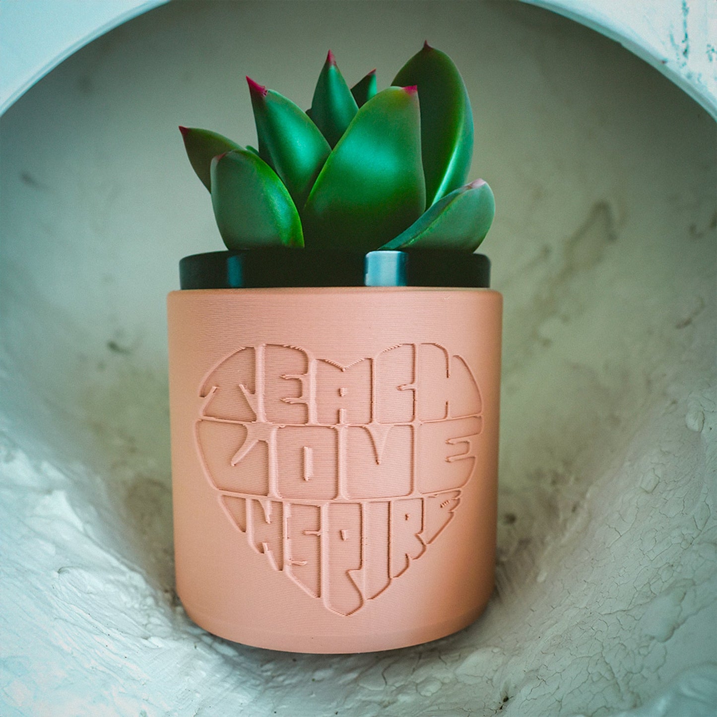 Teacher Appreciation Plant Pots with Drainage and Saucer, Back to School Decor Ideas Plant Planter, Lightweight - Rosebud HomeGoods Black 4 Inch - No Tray MODERN HOME GOOD