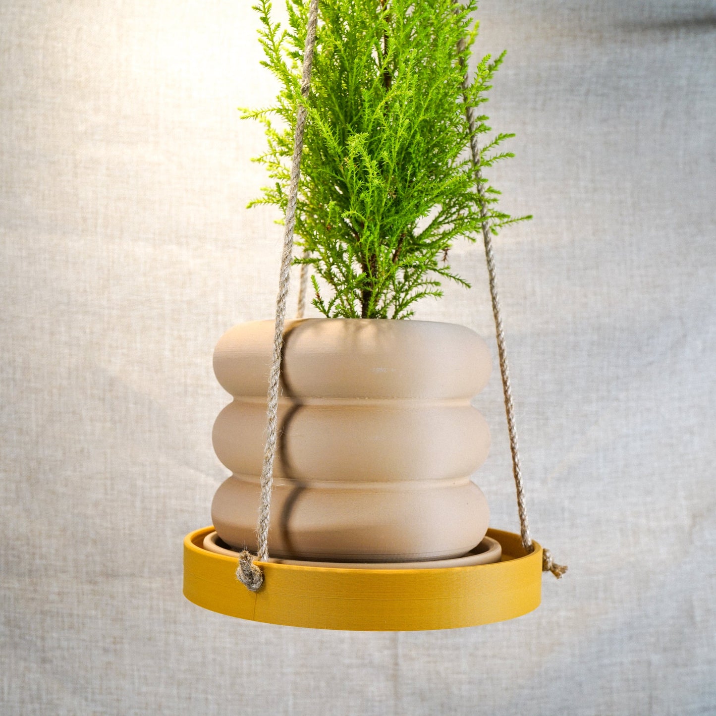 The Minimalist Hanging Plant Tray - Rosebud HomeGoods Black 8 Inch MODERN HOME GOOD