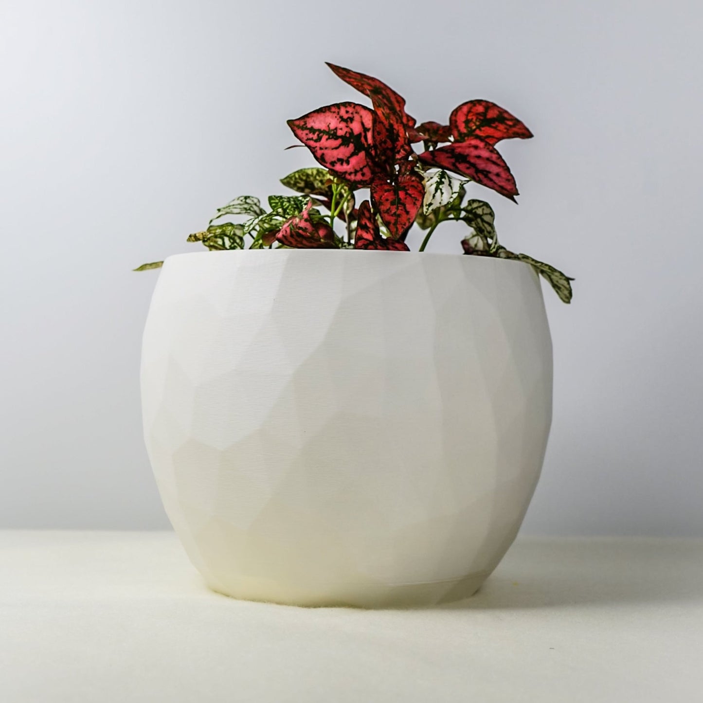 The Voronoi Planter - Rosebud HomeGoods 4 Inch No Drip Tray Black MODERN HOME GOOD