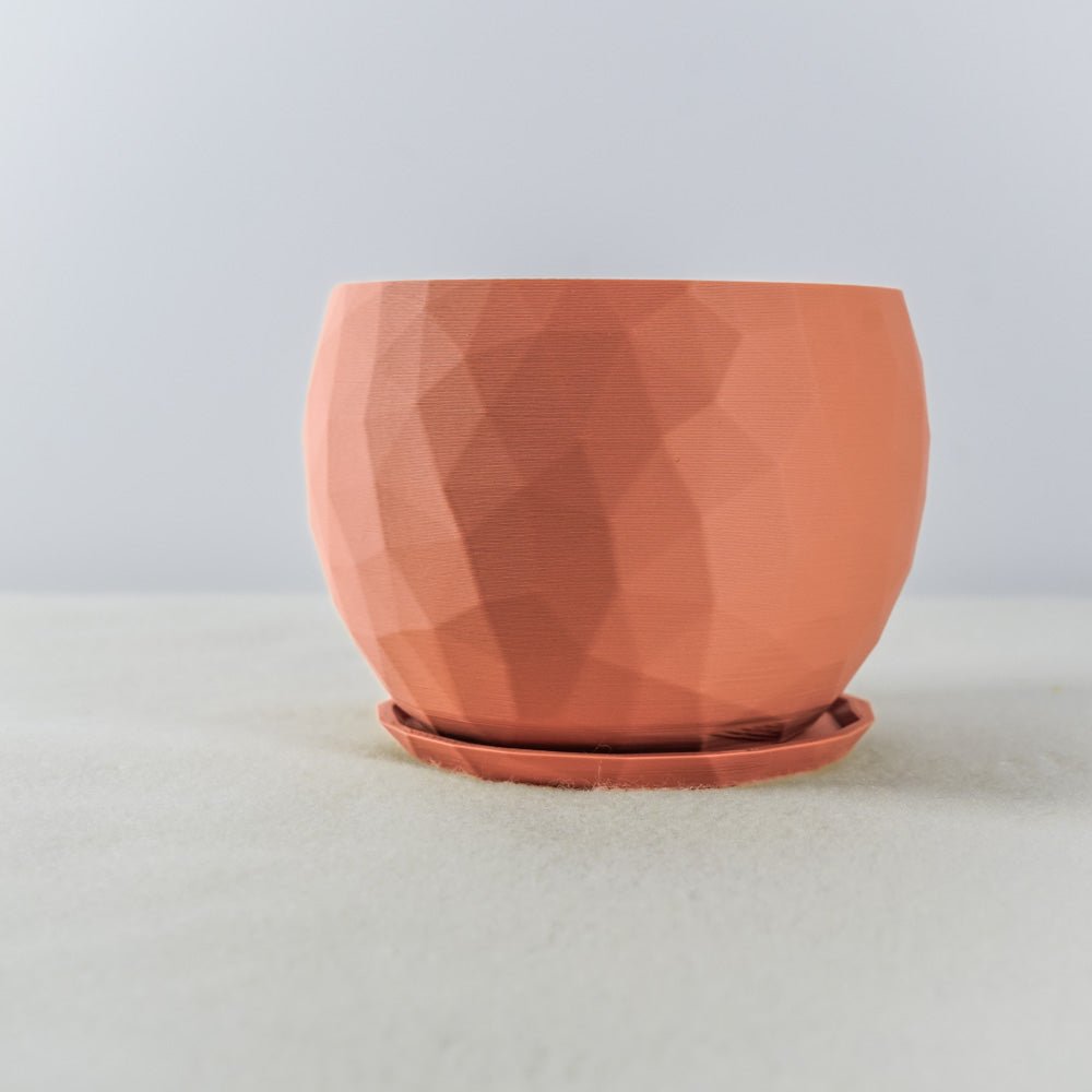The Voronoi Planter - Rosebud HomeGoods 4 Inch No Drip Tray Black MODERN HOME GOOD