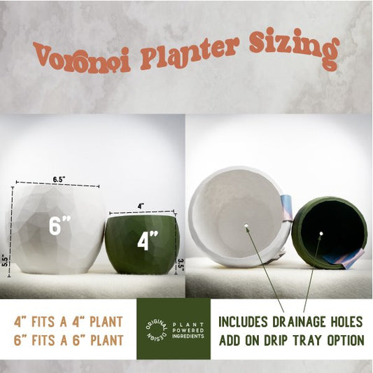 The Voronoi Planter - Rosebud HomeGoods 4 Inch No Drip Tray Black MODERN HOME GOOD