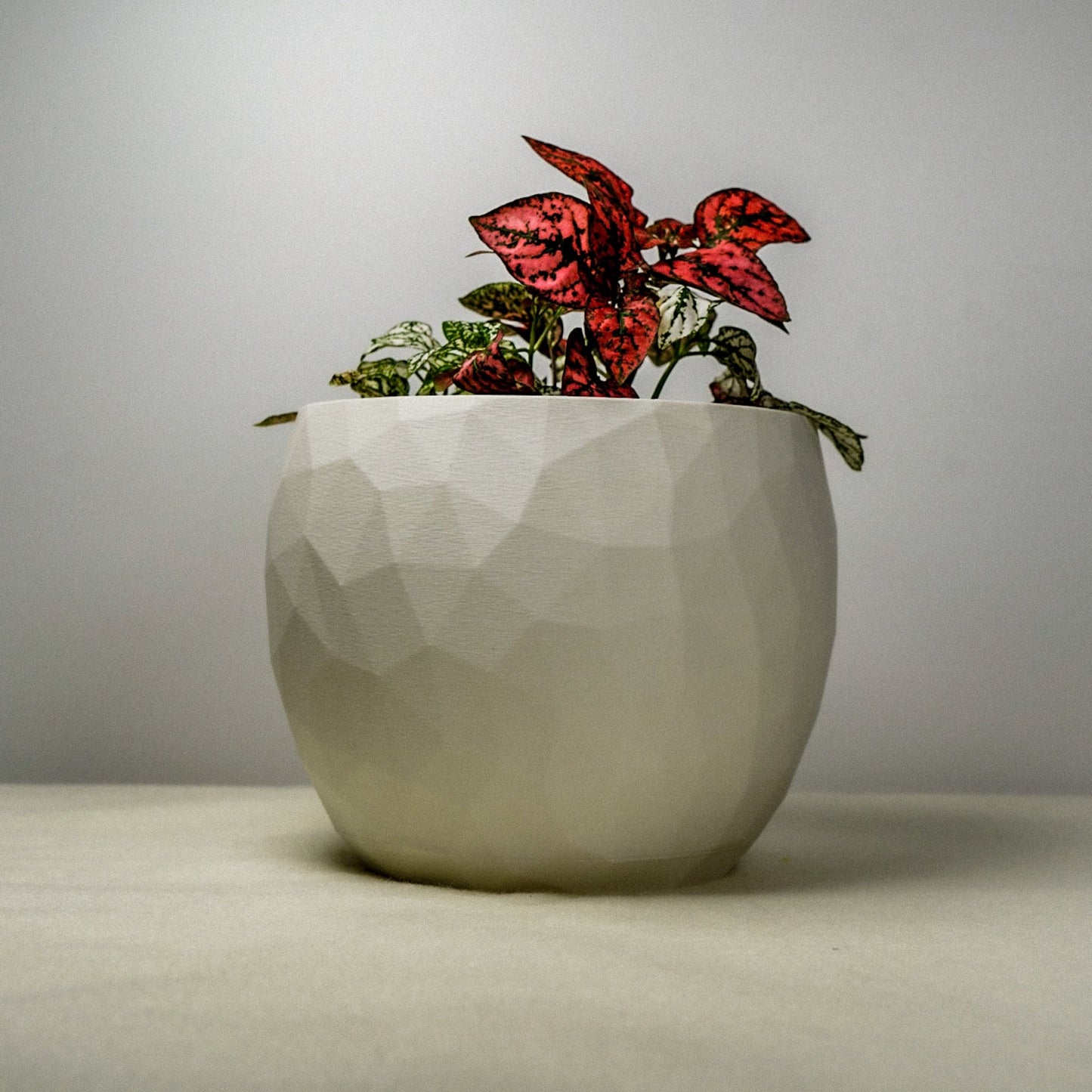 The Voronoi Planter - Rosebud HomeGoods 4 Inch No Drip Tray Black MODERN HOME GOOD