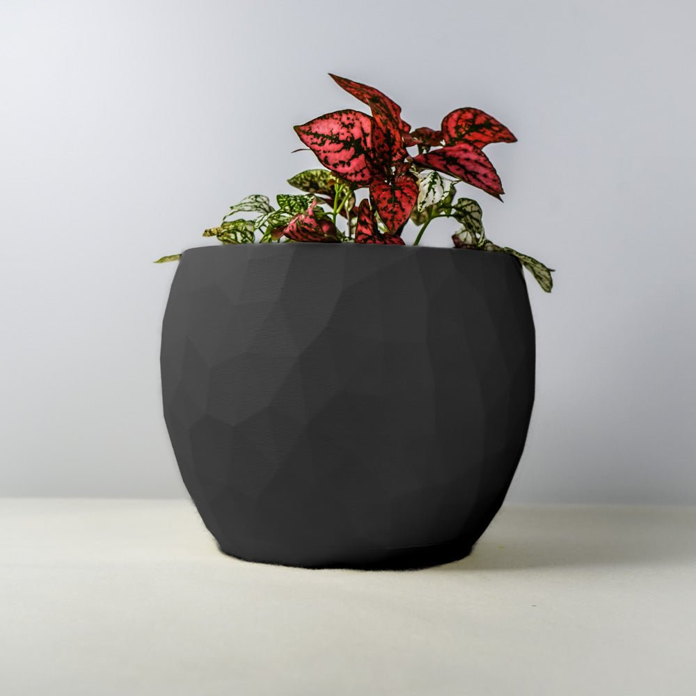 The Voronoi Planter - Rosebud HomeGoods 4 Inch No Drip Tray Black MODERN HOME GOOD