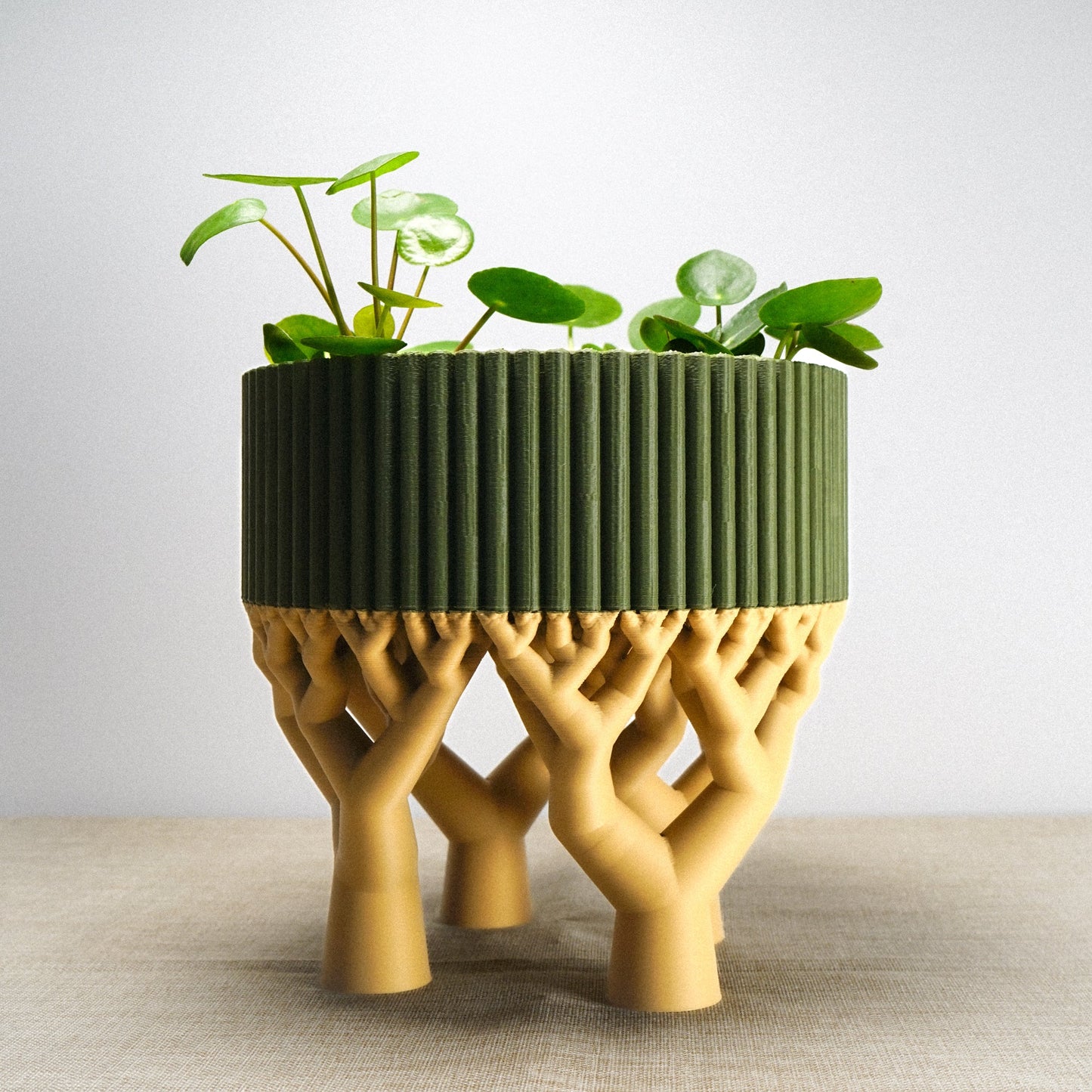 Verdant Canopy Footed Pedestal Bowl, NOBLE - Rosebud HomeGoods Black Black MODERN HOME GOOD