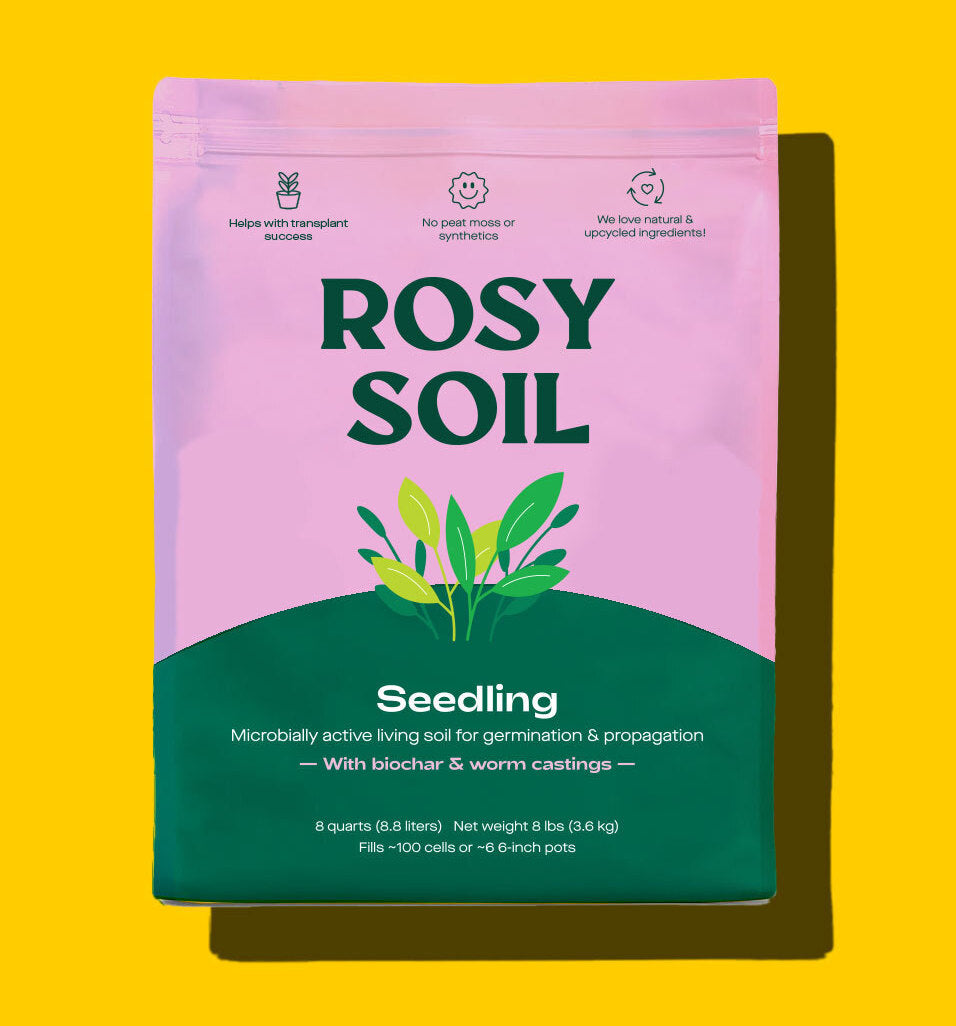 Seedling