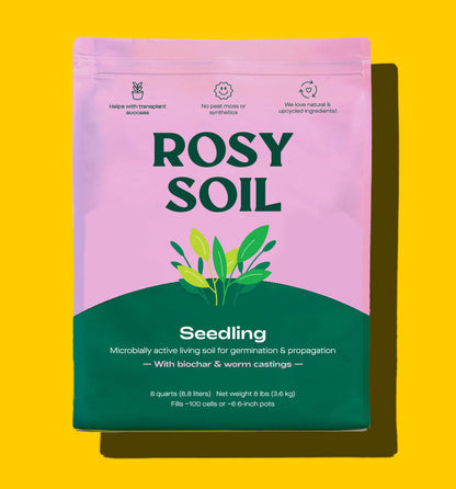 Seedling