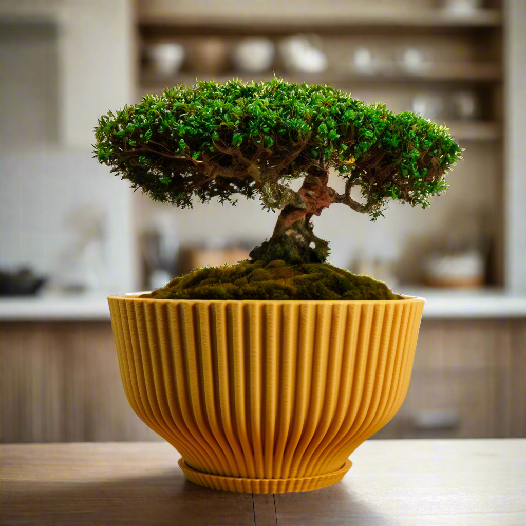 plant pot with saucer indoor Bonsai Pot with Drainage & Tray - Black / 4 Inch