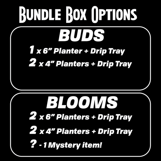 Rosebud Bundle Box Set, Choose from Buds or Blooms Bundles