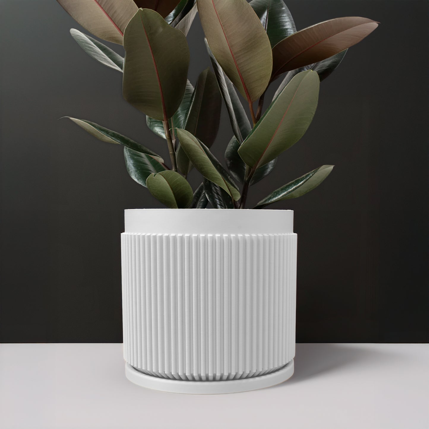 Cadence Planter with Drainage and Drip Tray