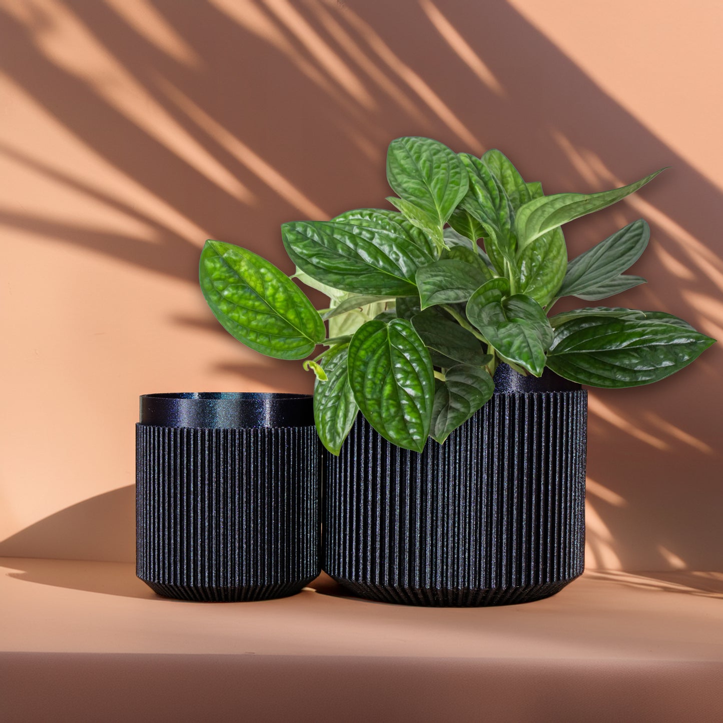Cadence Planter with Drainage and Drip Tray