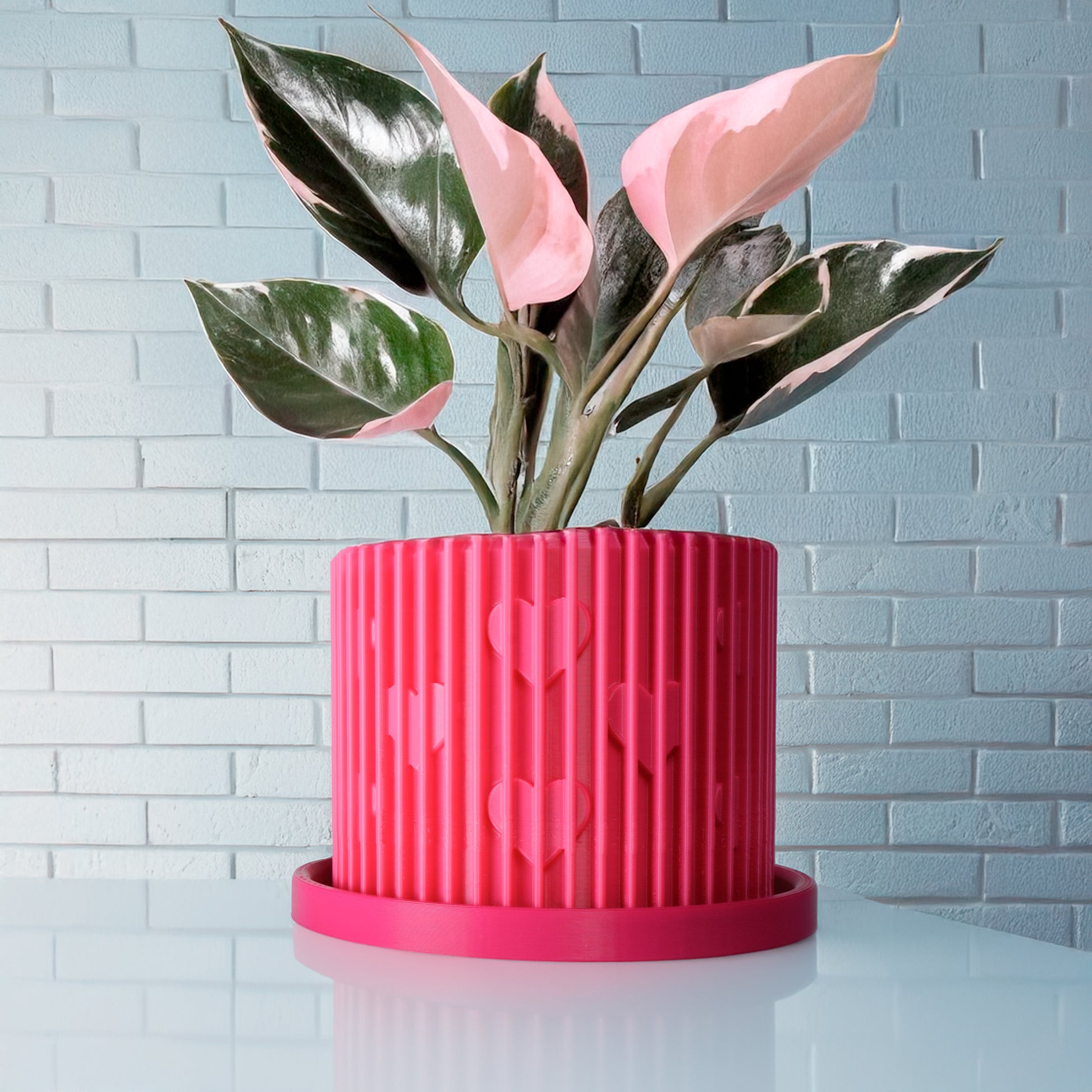 heart shaped pot for plants Modern Heart-Shaped Planter with Drainage & Saucer – Unique Valentine' – Rosebud HomeGoods