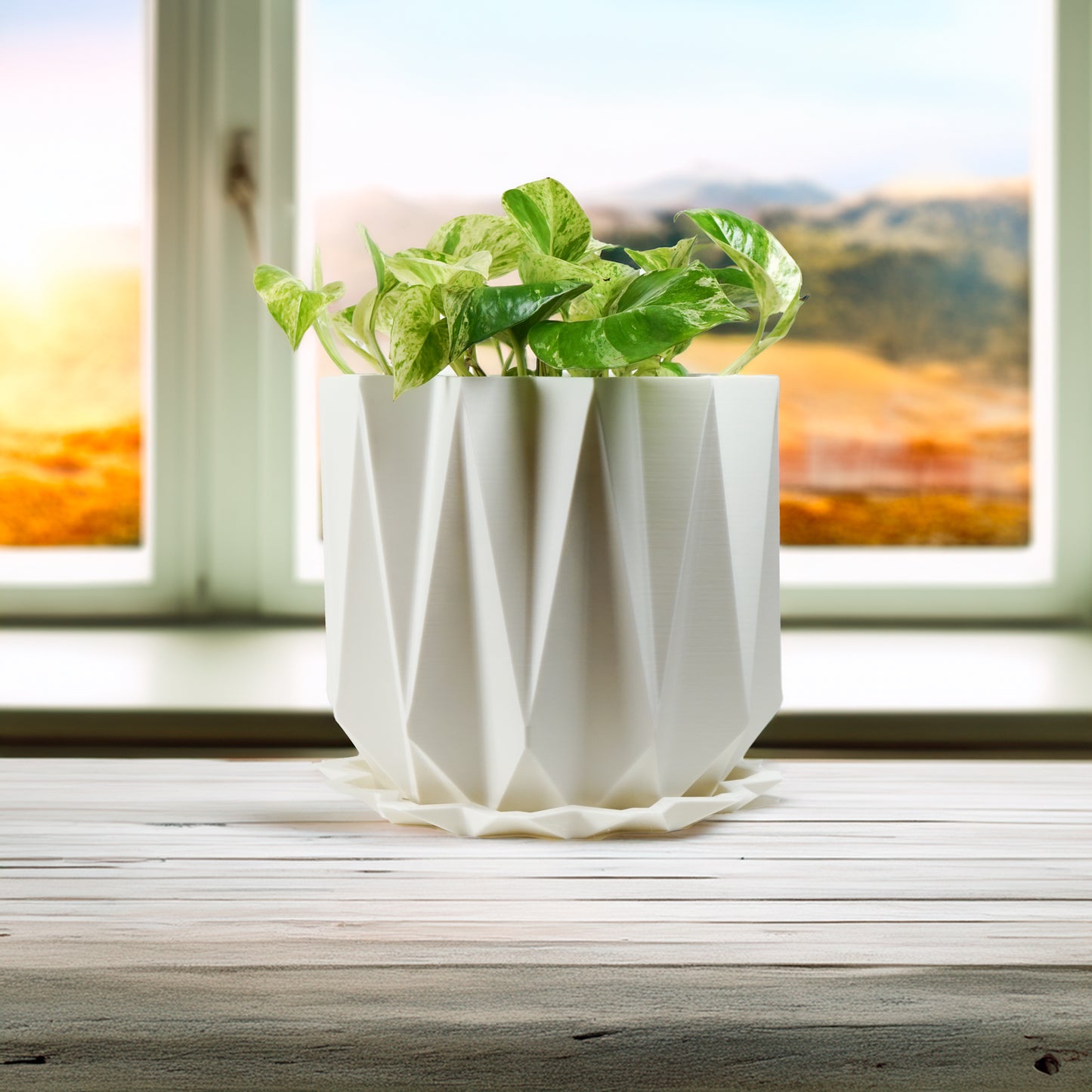 The Celestial Plant Pot