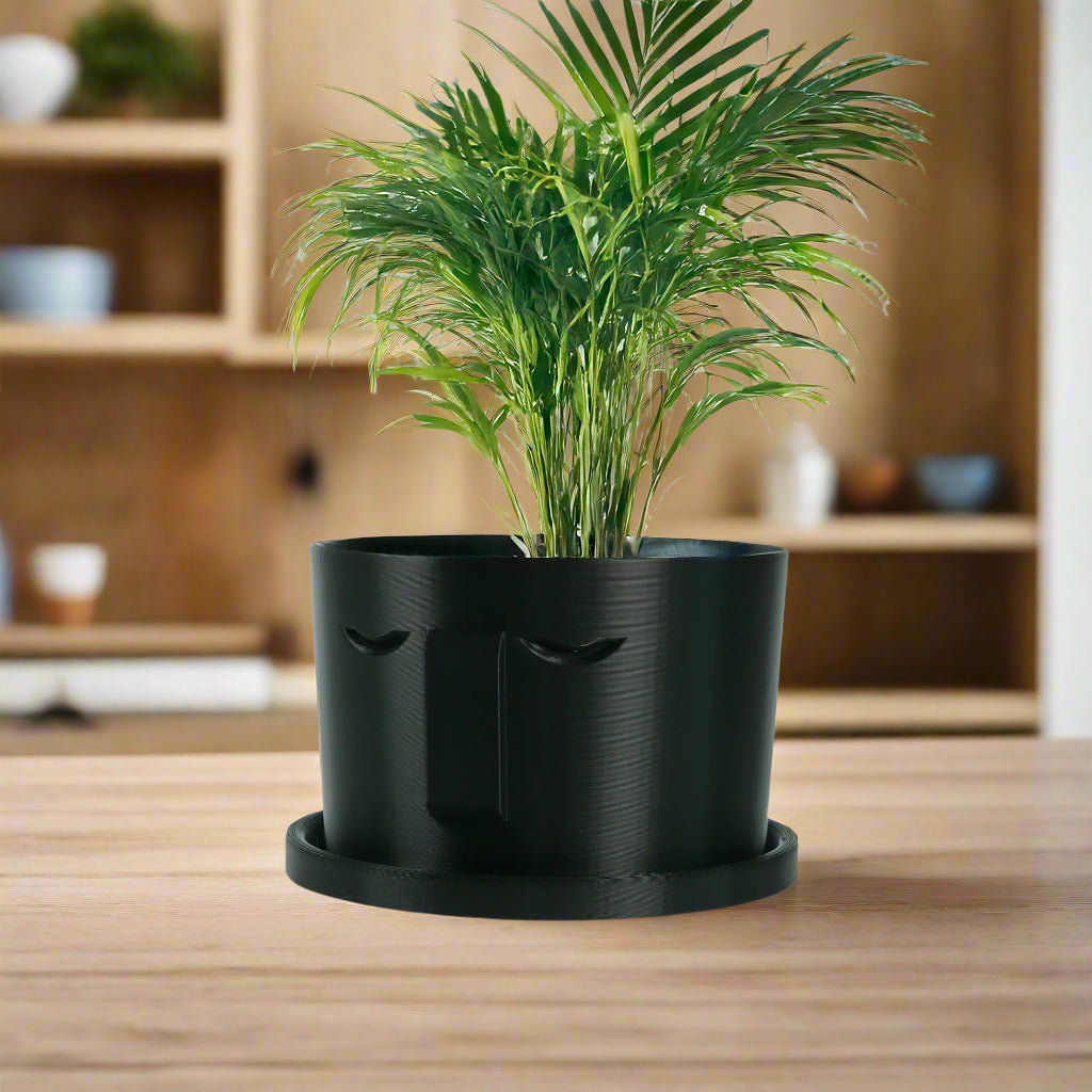 face pot plant holder 3D Printed Plant Pot and Air Plant Holder – Stylish, Durable, Eco-Friendly, Modern Design, Indoor & Outdoor Use, Multiple Sizes & Colors, Lightweight, Easy to Clean, Perfect for Houseplants, Unique Planter, Decorative