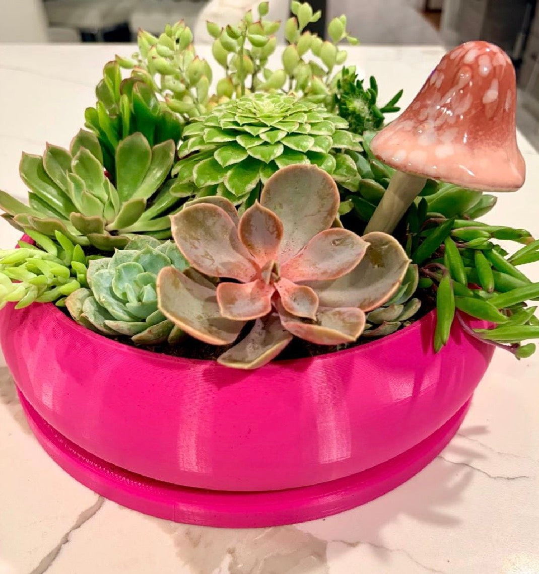 Solo Bubble, Donut Planter with Drainage and Drip Tray, Succulent Arrangement, Shallow Bowl