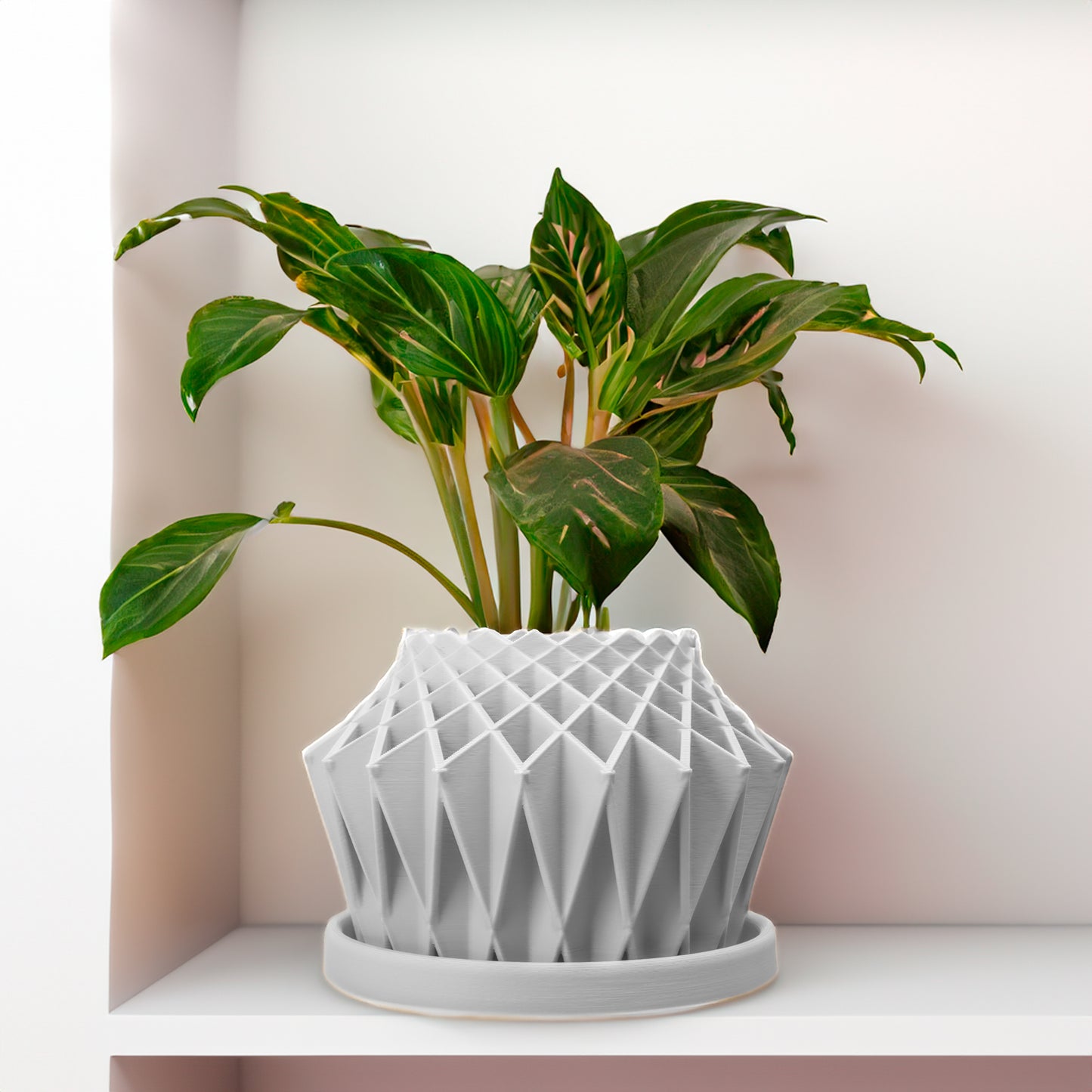 Galaxy Groove, Cute Plant Pot with Drainage and Saucer, Bonsai Planter Pot Unique, Cacti and House Plant Planter, Lightweight Modern Art Decor