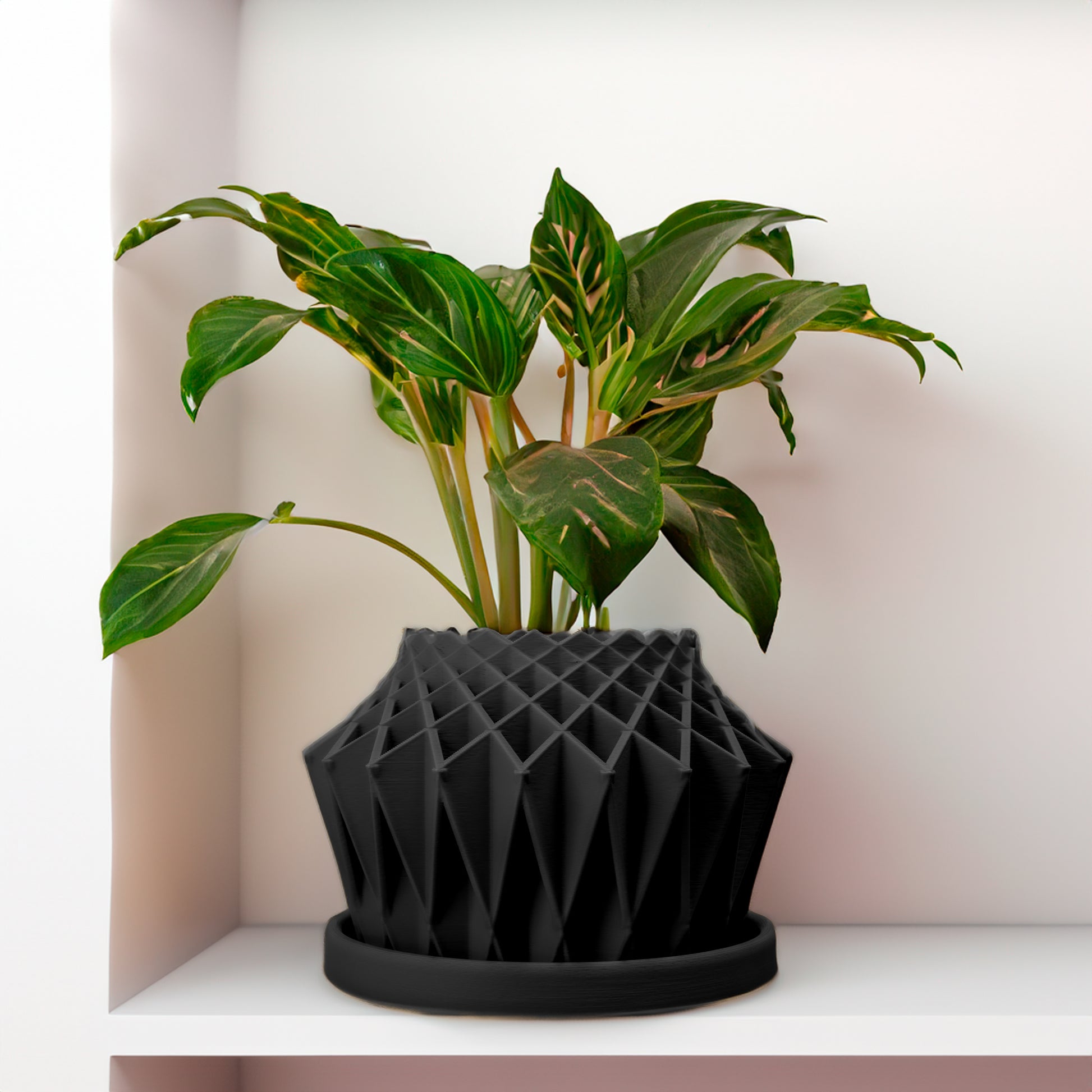black geometric plant pot Galaxy Groove, Cute Plant Pot with Drainage and Saucer, Bonsai Planter Pot Unique, Cacti and House Plant Planter, Lightweight Modern Art Decor – Rosebud HomeGoods