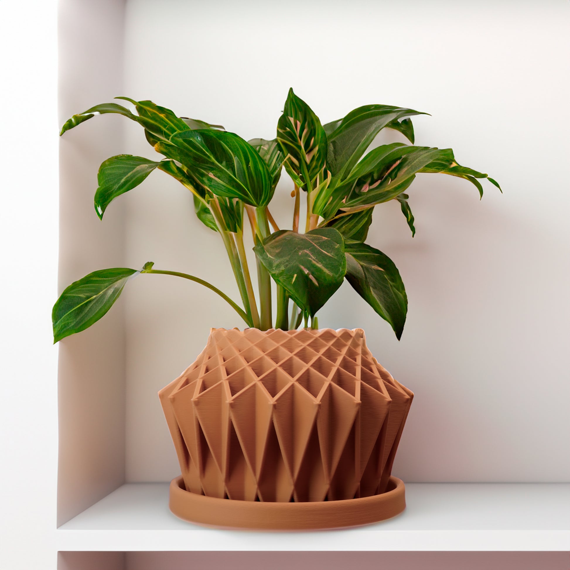 innovative plant pots Galaxy Groove, Cute Plant Pot with Drainage and Saucer, Bonsai Planter Pot Unique, Cacti and House Plant Planter, Lightweight Modern Art Decor Silver